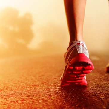 Stagione 2017, nuove regole, nuovo campionato, stesse emozioni